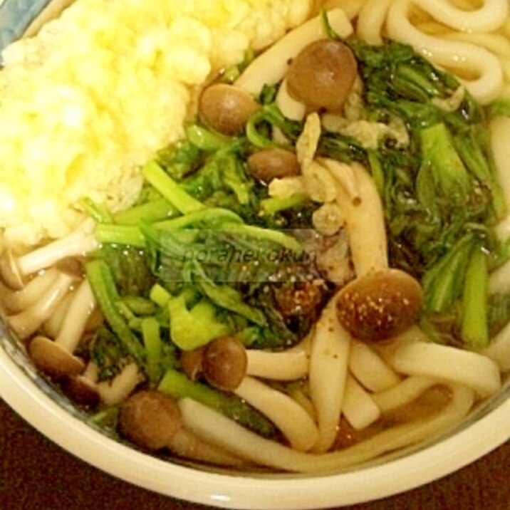 シメジとシュンギクのうどん